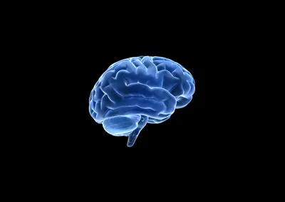 cartoon image of a brain against a black background cartoon image of a brain against a black background
